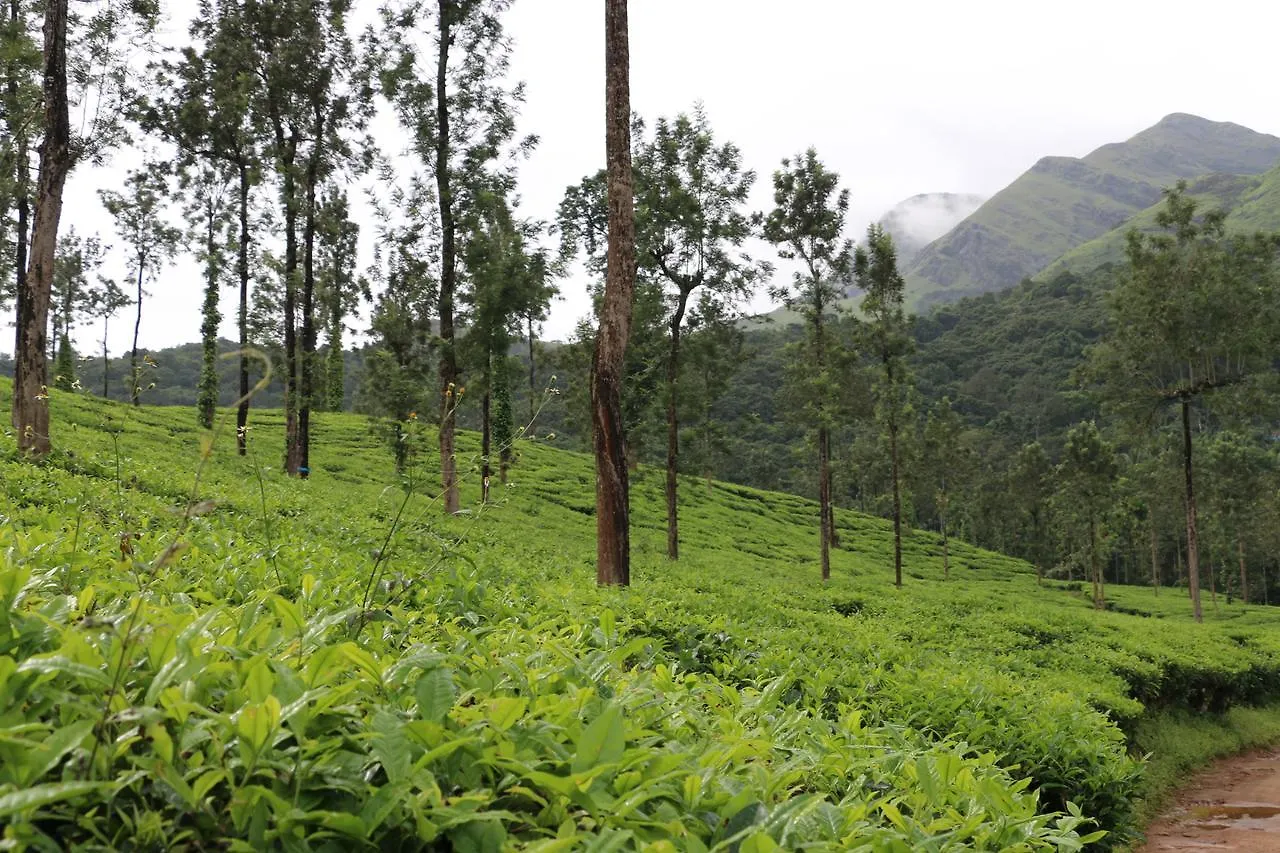 Green Garden Deluxe Room Vythiri India