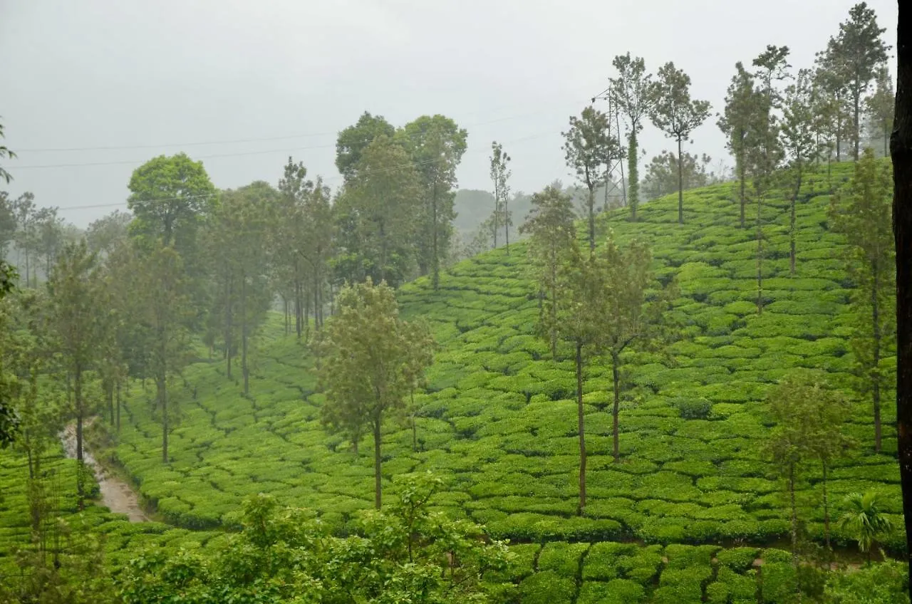 Green Garden Deluxe Room Vythiri Bed & Breakfast